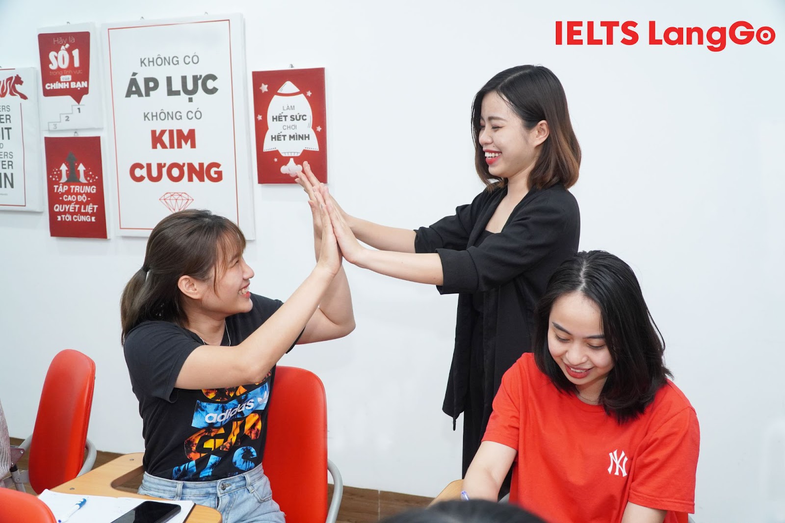 lĩnh vực hoạt động